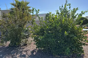 834 S Meridian Rd, Apache Junction, AZ 85120 - Photo 44