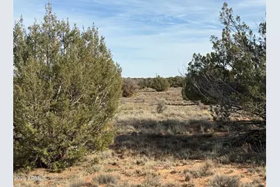 3868 Clyde Road #-, Snowflake, AZ 85937 - Photo 4