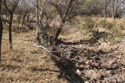 10 Acres E Roadrunner Lot D Lane #D, Pearce, AZ 85625 - Photo 1
