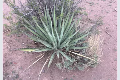 4266 Bunkhouse Road #6, Snowflake, AZ 85937 - Photo 6