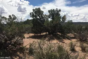 4266 Bunkhouse Rd, Snowflake, AZ 85937 - Photo 1