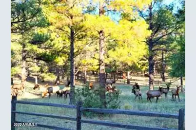 550 E Hattie Greene --, Flagstaff, AZ 86001 - Photo 58