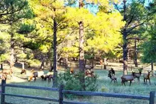 550 E Hattie Greene, Flagstaff, AZ 86001 - Photo 58