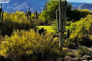 36601 N Mule Train Road N, Carefree, AZ 85377 - Photo 28