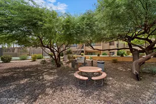 8055 E Thomas Rd, Scottsdale, AZ 85251 - Photo 24