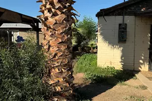 2509 W Washington St, Phoenix, AZ 85009 - Photo 26