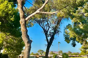 425 S Parkcrest, Mesa, AZ 85206 - Photo 24