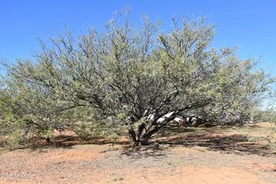8680 E Mustang Trail, Hereford, AZ 85615 - Photo 14