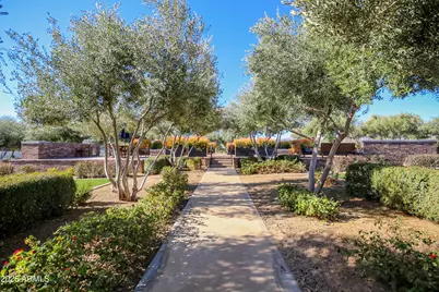 11353 N Luckenbach Street, Surprise, AZ 85388 - Photo 36