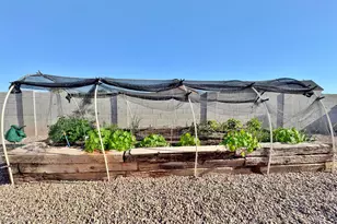 8559 W Canterbury Ln, Arizona City, AZ 85123 - Photo 44