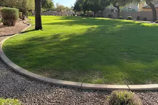 2401 E Peach Tree Dr, Chandler, AZ 85249 - Photo 16