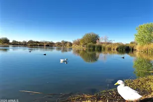 3690 E Canyon Way, Chandler, AZ 85249 - Photo 106