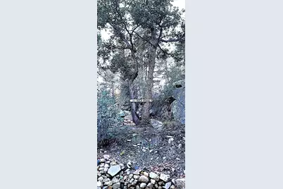 23186 S Towers Mountain Road, Crown King, AZ 86343 - Photo 30