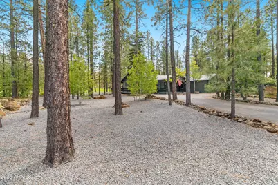 7451 Buck Springs Road, Pinetop, AZ 85935 - Photo 6