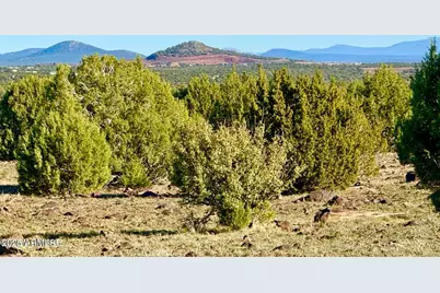 Tbd Mustang Ln Lot D & E 4.8 Acres -- #-, Show Low, AZ 85901 - Photo 1