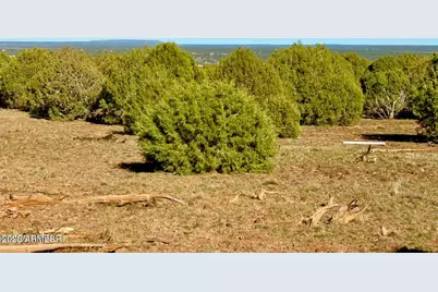 Tbd Mustang Ln Lots F & H 5.5 Acre -- #-, Show Low, AZ 85901 - Photo 18