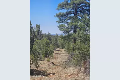 3662 Sunset Ridge Loop #143, Happy Jack, AZ 86024 - Photo 6