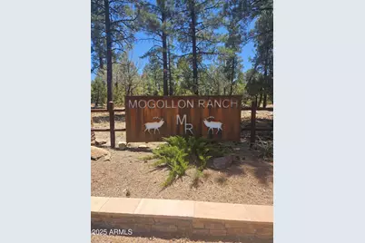 3662 Sunset Ridge Loop #143, Happy Jack, AZ 86024 - Photo 2