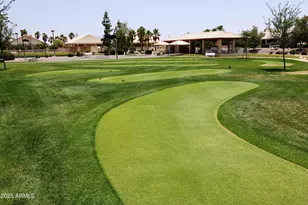 25232 S Flame Tree Dr, Sun Lakes, AZ 85248 - Photo 48