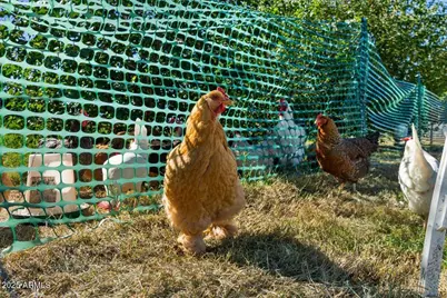 21324 S 156th Street, Gilbert, AZ 85298 - Photo 70