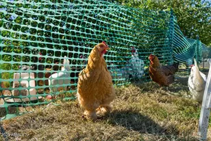 21324 S 156th St, Gilbert, AZ 85298 - Photo 70