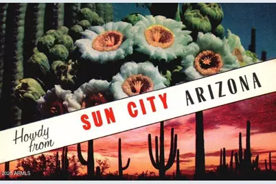 10902 W Welk Drive, Sun City, AZ 85373 - Photo 26