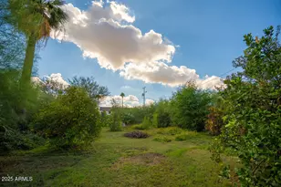 1717 E Oak St, Phoenix, AZ 85006 - Photo 6