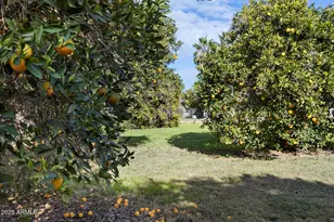 17525 E Regal Dr, Queen Creek, AZ 85142 - Photo 76