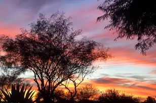 710 S 226th Dr, Buckeye, AZ 85326 - Photo 42