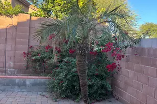 2221 E Union Hills Dr, Phoenix, AZ 85024 - Photo 26