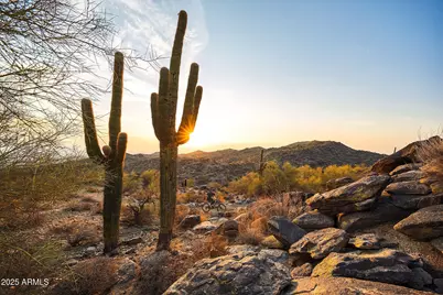917 E Buist Avenue, Phoenix, AZ 85042 - Photo 34