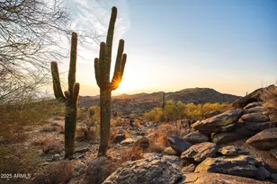 917 E Buist Ave, Phoenix, AZ 85042 - Photo 34