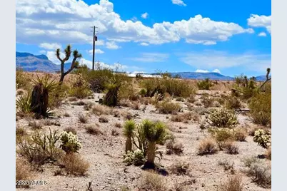 30390 N Dutton Drive #182, Meadview, AZ 86444 - Photo 18