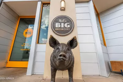 2796 E Valencia Street, Gilbert, AZ 85296 - Photo 100