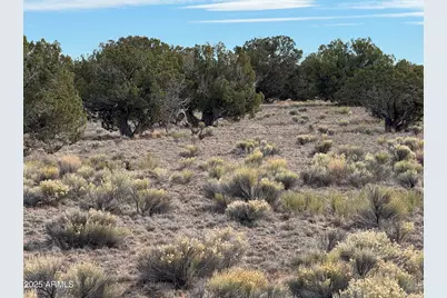 Lot 338 Sierra Highlands Ranch -- #338, Saint Johns, AZ 85936 - Photo 2