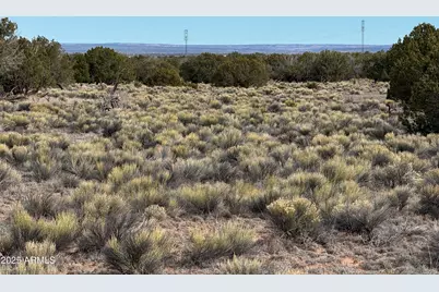 Lot 338 Sierra Highlands Ranch -- #338, Saint Johns, AZ 85936 - Photo 8