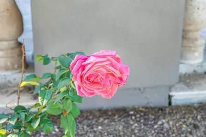 27643 N 113th Place, Scottsdale, AZ 85262 - Photo 128