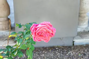 27643 N 113th Pl, Scottsdale, AZ 85262 - Photo 128