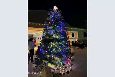 915 W Grand Caymen Drive, Gilbert, AZ 85233 - Photo 88