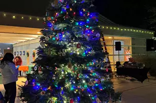 915 W Grand Caymen Dr, Gilbert, AZ 85233 - Photo 88