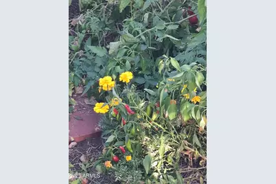 4020 E Creek View Drive, Camp Verde, AZ 86322 - Photo 6