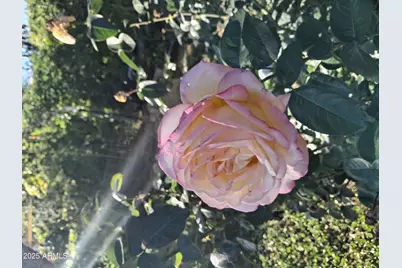 4020 E Creek View Drive, Camp Verde, AZ 86322 - Photo 10