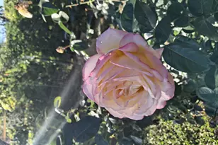 4020 E Creek View Dr, Camp Verde, AZ 86322 - Photo 10