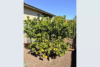 3300 Sparrows Creek Way, Wickenburg, AZ 85390 - Photo 36