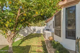 10907 E Bella Vista Dr, Scottsdale, AZ 85259 - Photo 32