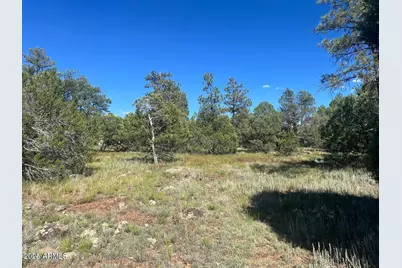 5020 Bison Trail #34 & 35, Lakeside, AZ 85929 - Photo 2