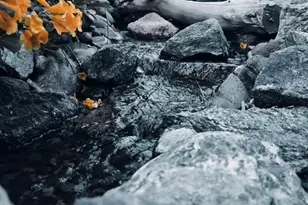 136 E Desert Wind Dr, Phoenix, AZ 85048 - Photo 62