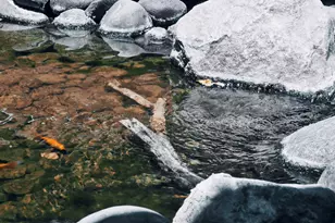 136 E Desert Wind Dr, Phoenix, AZ 85048 - Photo 62