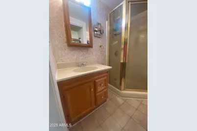 2024 S Walla Walla Circle, Apache Junction, AZ 85119 - Photo 16