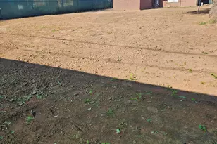 725 W Southgate Ave, Phoenix, AZ 85041 - Photo 18